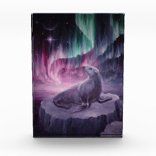 Sad lonely seal photo block