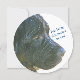 SAD NEWFIE/"YOU BEING SICK MAKES ME SAD" GET WELL CARD