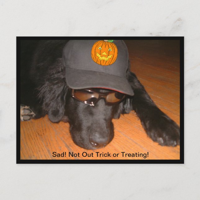 Sad Not Trick or Treating Halloween Postcard (Front)