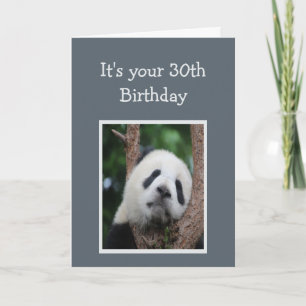 Sad Panda Bear 30th Thirty Happy Birthday Humor Card