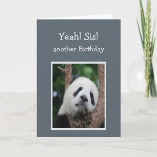 Sad Panda Bear Happy Birthday Sister Humour Card