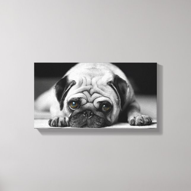 Sad Pug Canvas Print (Front)