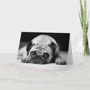 Sad Pug Card