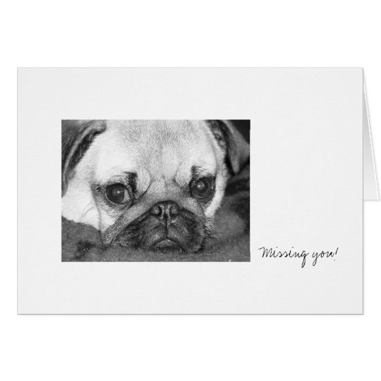Sad Pug Card