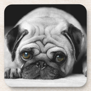 Sad Pug Coaster