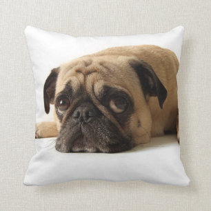 Sad Pug Cushion