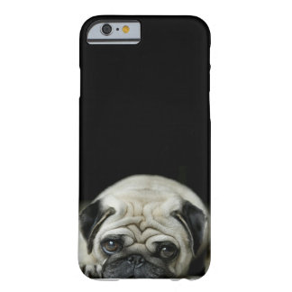pug iphone 6 pug iphone cases covers zazzle co uk pug iphone 6 pug iphone cases covers zazzle co uk
