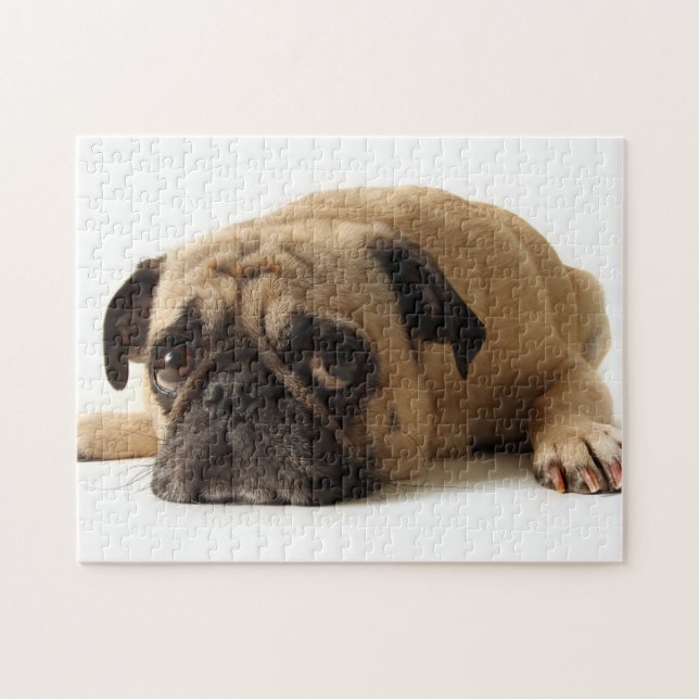 Sad Pug Jigsaw Puzzle (Horizontal)