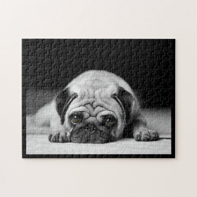 Sad Pug Jigsaw Puzzle (Horizontal)