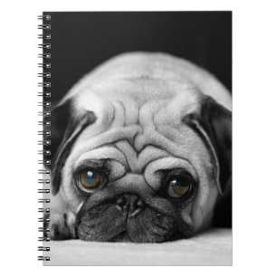 Sad Pug Notebook