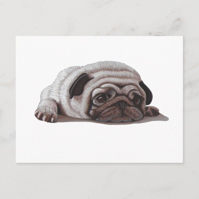 Sad Pug Postcard (Front)