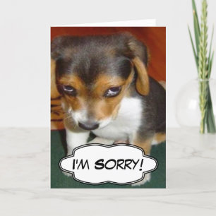 Sad Puppy - I'm Sorry Card