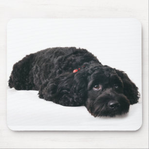 Sad puppy mouse mat