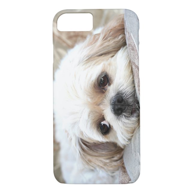 Sad Shih Tzu face Case-Mate iPhone Case (Back)