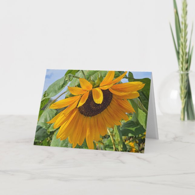 Sad Sunflower Card (Front)
