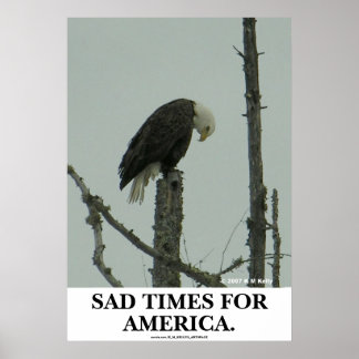 SAD TIMES FOR AMERICA. POSTER