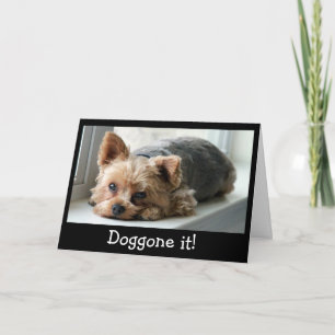 Sad Yorkie Pup Belated Birthday Card