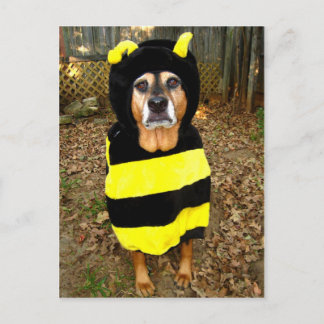 Saddest Bee Postcard