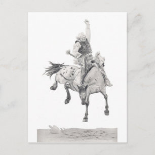 Saddle Bronc Postcard