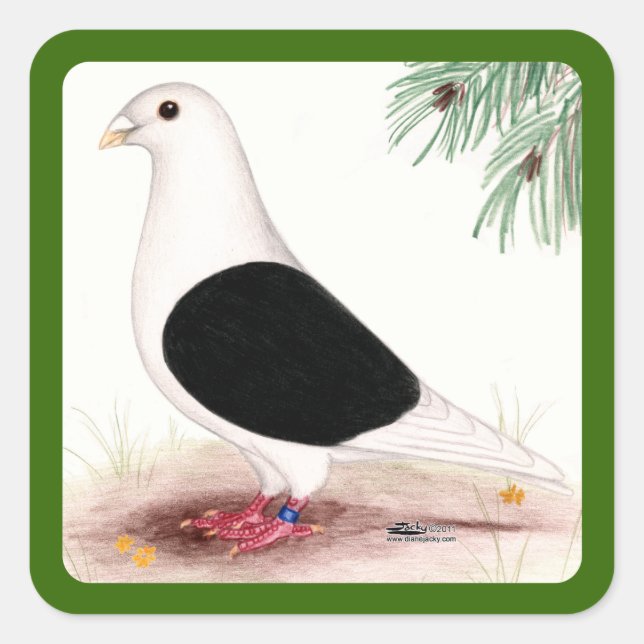 Saddle Homer Pigeon Square Sticker (Front)
