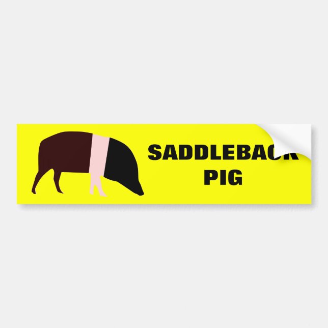 Saddleback Pig Customisable Bumper Sticker (Front)