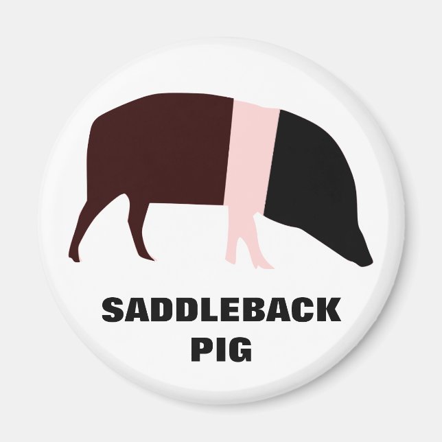 Saddleback Pig Customisable Magnet (Front)