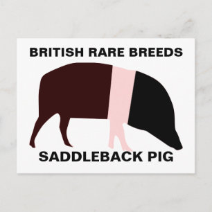 Saddleback Pig Customisable Postcard