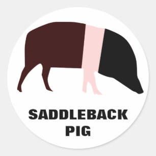 Saddleback Pig Customisable Sticker