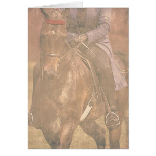 Saddlebred Dreams