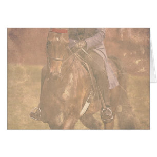 Saddlebred Dreams