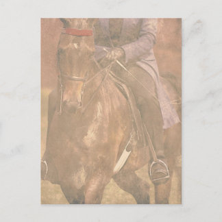 Saddlebred Dreams Postcard