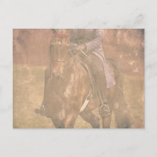 Saddlebred Dreams Postcard