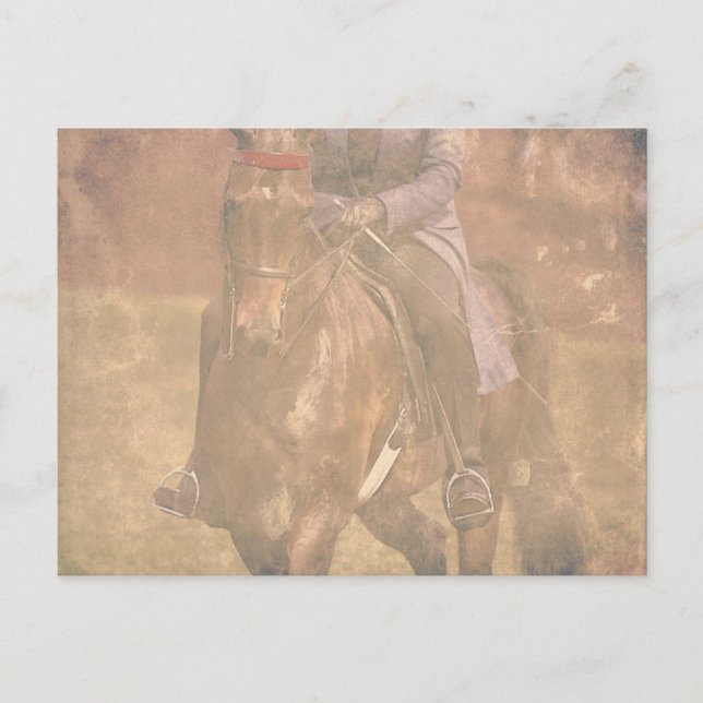 Saddlebred Dreams Postcard (Front)