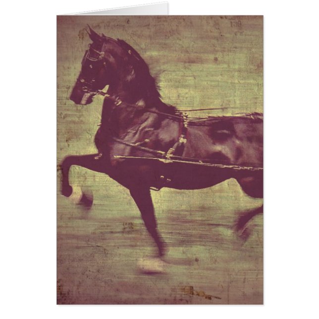 Saddlebred Song (Front)