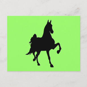 Saddlebreds Postcard