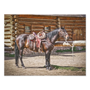 Saddled Horse - Horses - Ranch Photo Print