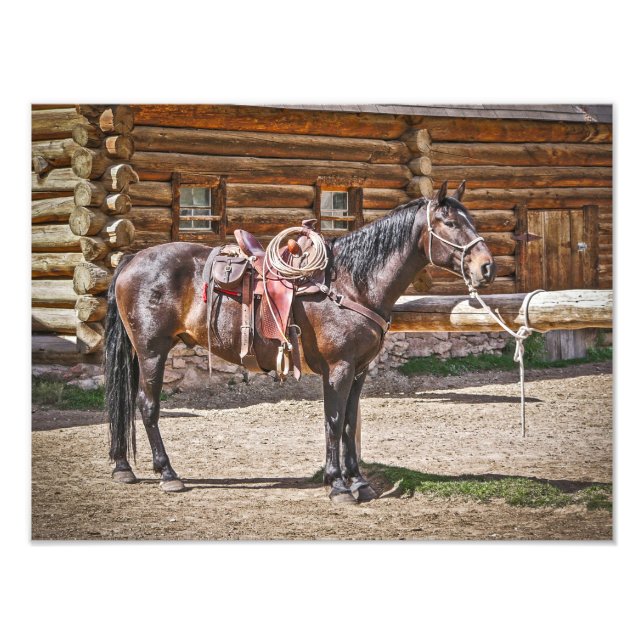 Saddled Horse - Horses - Ranch Photo Print (Front)