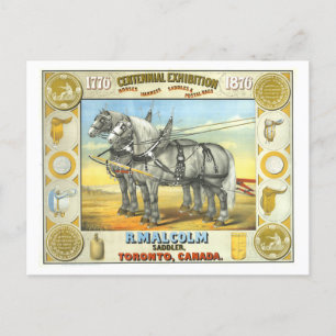 Saddler Centennial Exposition Advertisement Postcard