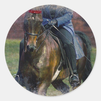 Saddleseat Classic Round Sticker