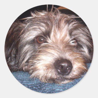 Sadie Classic Round Sticker