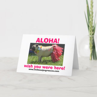 Sadie May hula girl, ALOHA!, wish you were here... Card