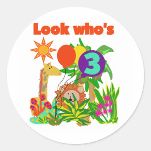 Safari 3rd Birthday  Tshirts and Gifts Classic Round Sticker