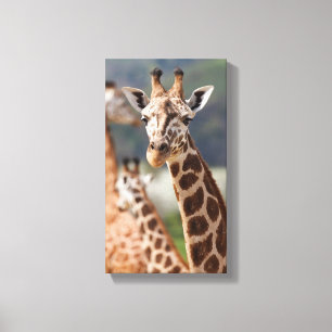 Safari Africa Giraffe Canvas Print