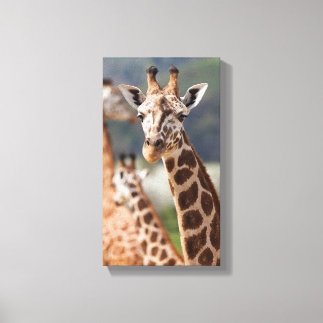 Safari Africa Giraffe Canvas Print (Front)