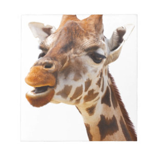 Safari Africa Jungle Giraffe Notepad