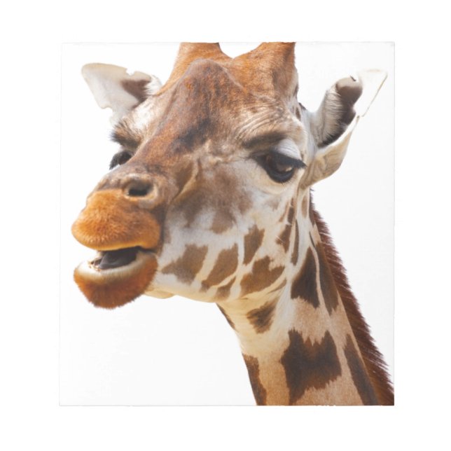 Safari Africa Jungle Giraffe Notepad (Front)