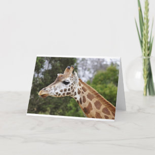 Safari Africa Mod Chic Classy Destiny Giraffe Card