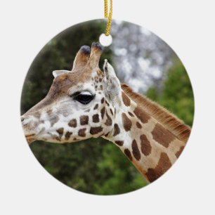 Safari Africa Mod Chic Classy Destiny Giraffe Ceramic Tree Decoration