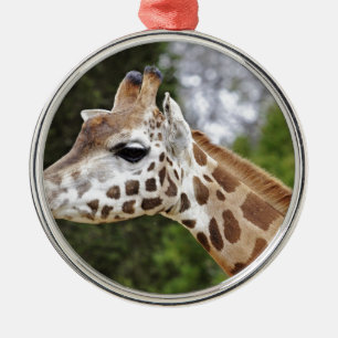 Safari Africa Mod Chic Classy Destiny Giraffe Metal Tree Decoration