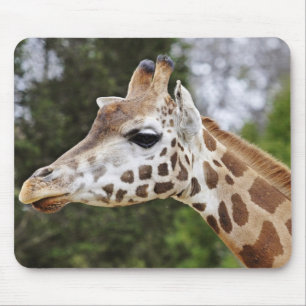 Safari Africa Mod Chic Classy  Destiny Giraffe Mouse Mat